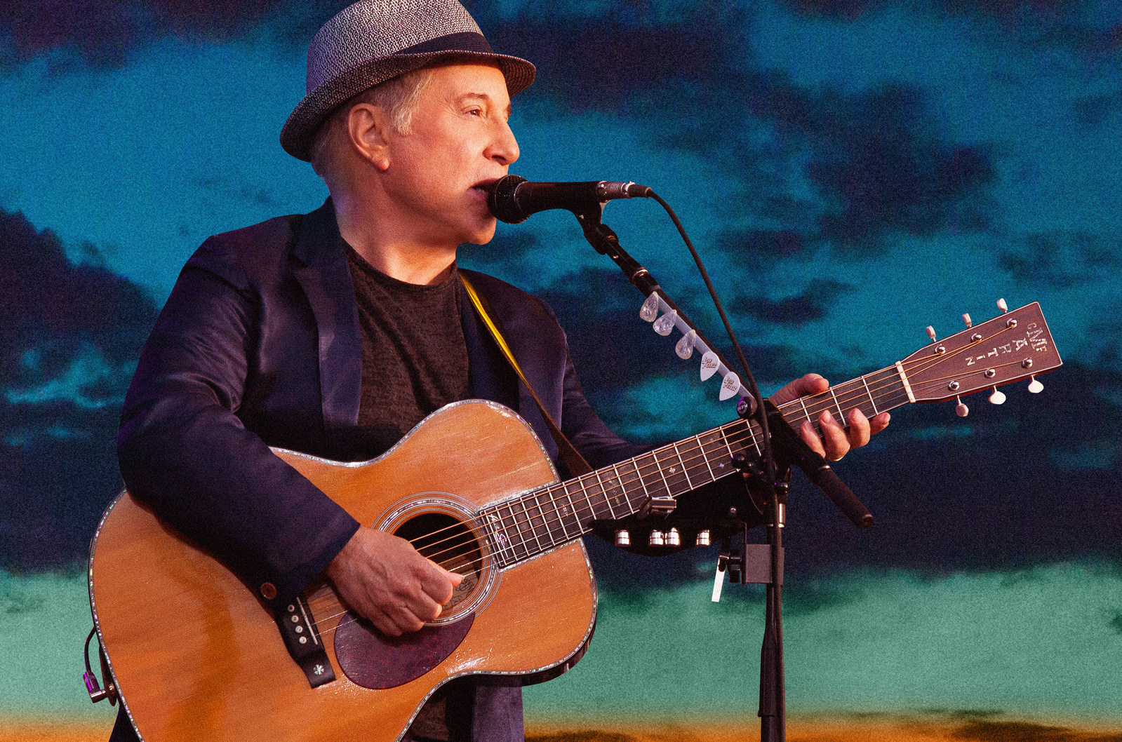 Paul Simon "Homeward Bound – The Farewell Tour"