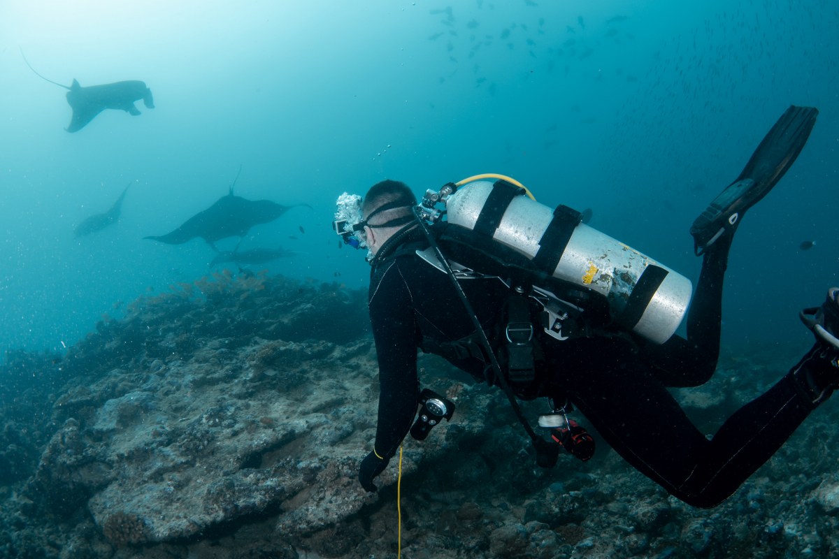 Northern-Indonesia-yacht-charter-experience-diving